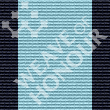 Conspicuous Gallantry RAF